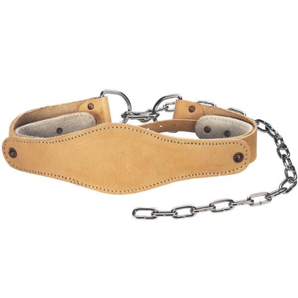 Head Harness